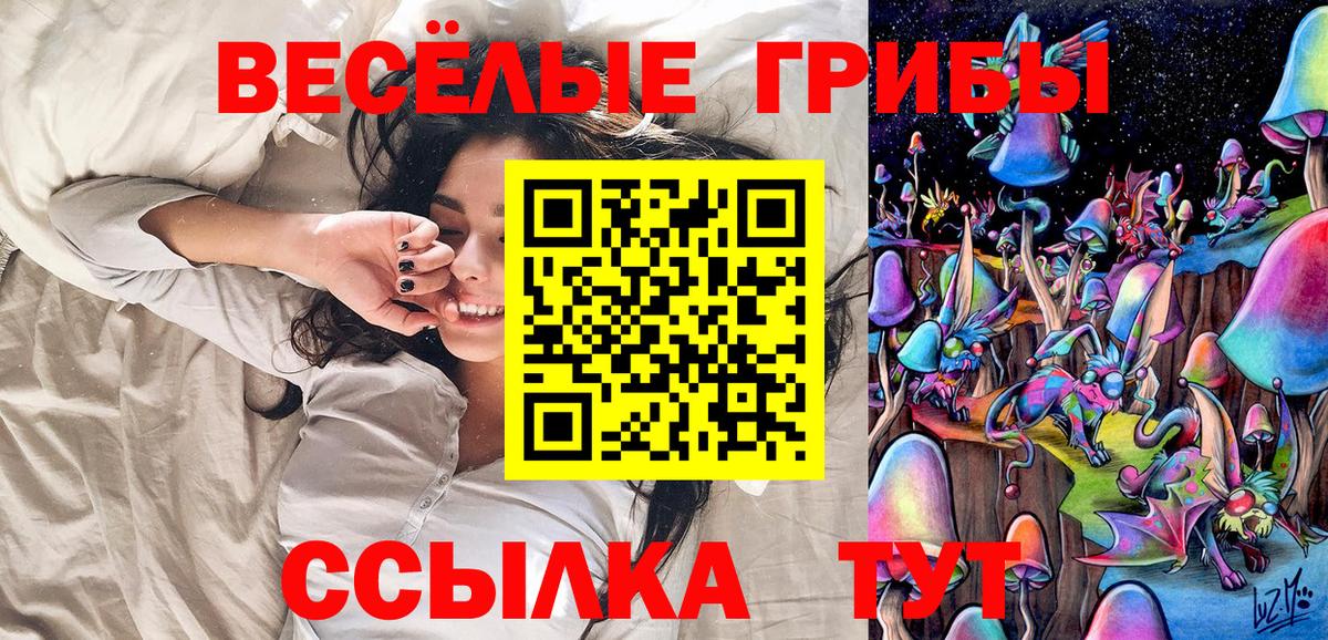 Псилоцибиновые грибы Psilocybine cubensis Грязи