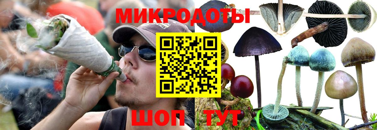 Галлюциногенные грибы Psilocybe  Псилоцибиновые грибы Psilocybe  Грязи  Вход с VPN 
